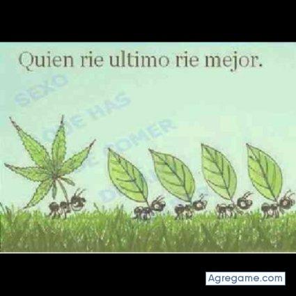 yokin1234 chico soltero en Sarriguren