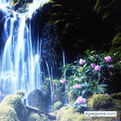 Lombardo2017 chico soltero en Caracas