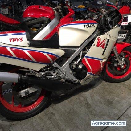 jose37mlg chico soltero en Málaga