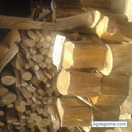 Nefyto chico divorciado en Escuintla