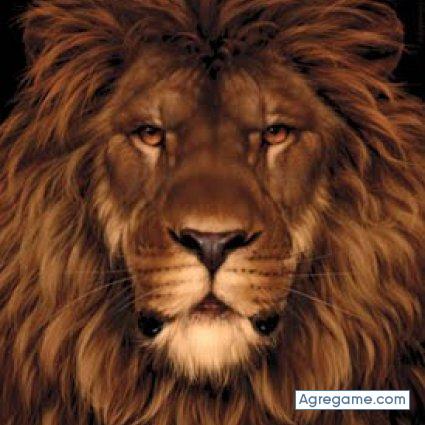 felani chico soltero en Norman