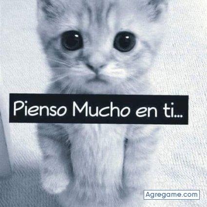 huanayorga chico soltero en Acobamba