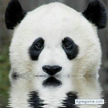 mefg35 chico soltero en Mixco