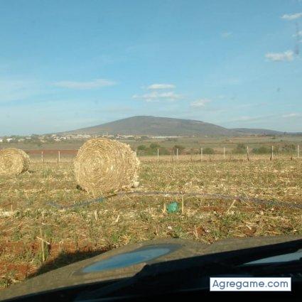 Valentinobarajasa chico soltero en Tlajomulco De Zúñiga