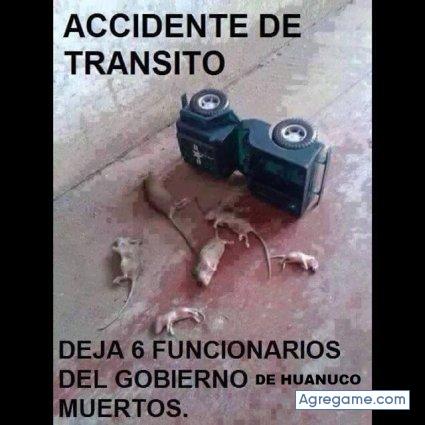 rocktingo chico soltero en Fremont