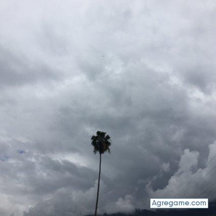 Sesgos123 chico soltero en San José Del Guaviare