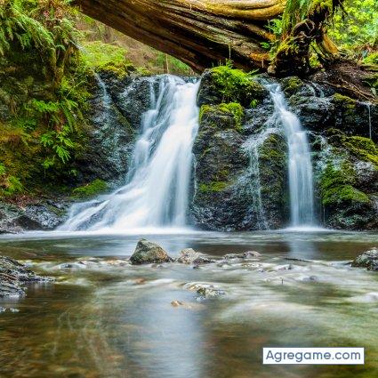 walre chico soltero en Hurlingham