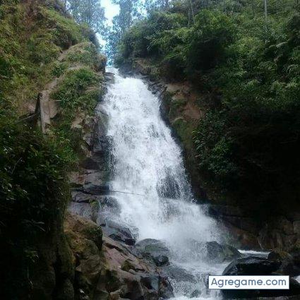 Tuloi chico soltero en Chitré