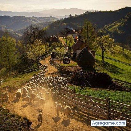 mayraramos chico soltero en Omoa