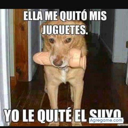 Gerpro chico soltero en 