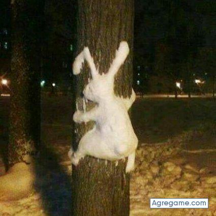 aisenino chico soltero en Puerto Cisnes