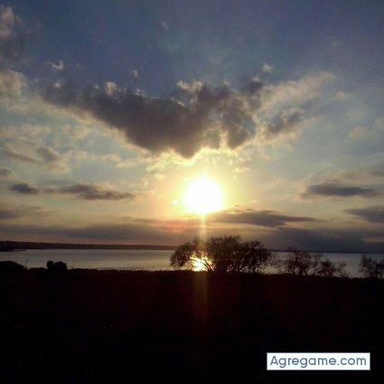 tonilozano chico soltero en Palma De Mallorca