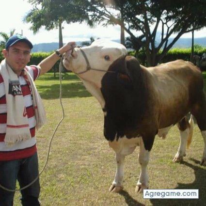 javiertrujillo1864 chico soltero en Cartago