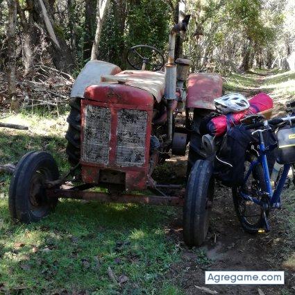Saulrac chico divorciado en Pilar