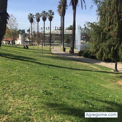 Kenryu chico soltero en Olathe