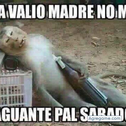 canfu chico soltero en Monterrey