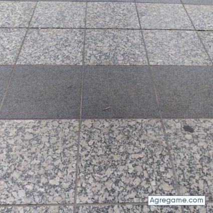 Elintensopr chico soltero en Bronx