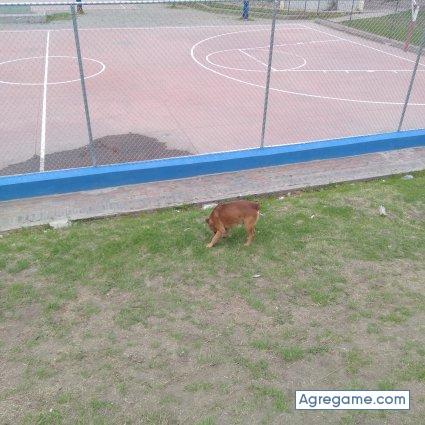 Cs1992 chico soltero en Quito