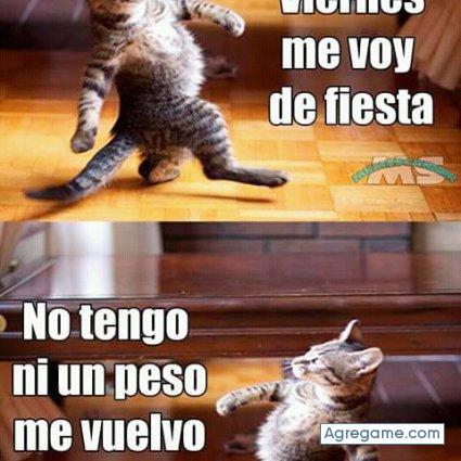 Bbnvvgg chico soltero en Argüello