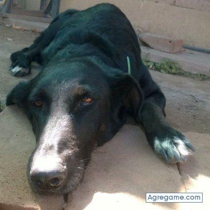 martinaguirre2055 chico soltero en Pichanal