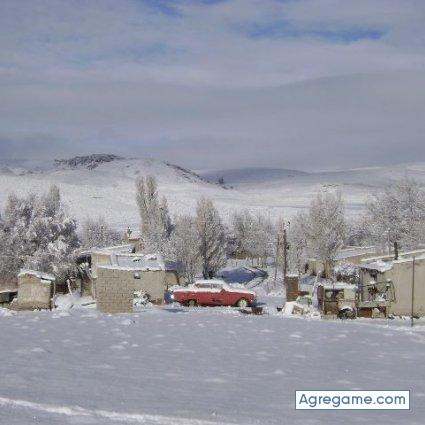 antonio62 chico soltero en Corral De Bustos