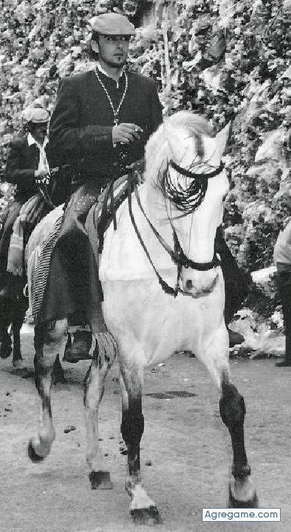 BANDOLERO chico soltero en Barcelona