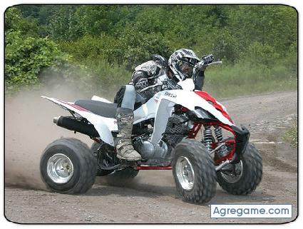 raptor chico soltero en Colonia De Sant Jordi