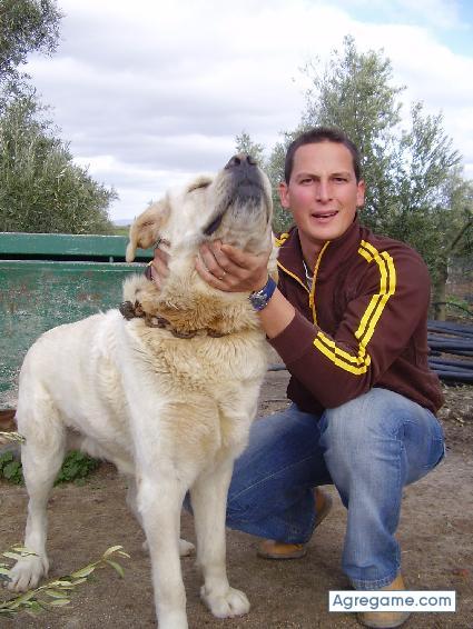 augustoo chico soltero en El Carpio