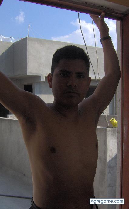 merino chico soltero en Manzanillo