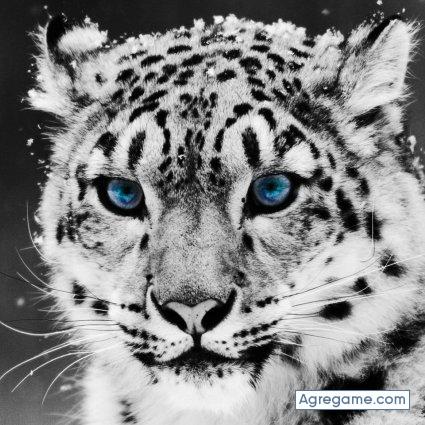 lucifer71 chico soltero en Punta Umbria