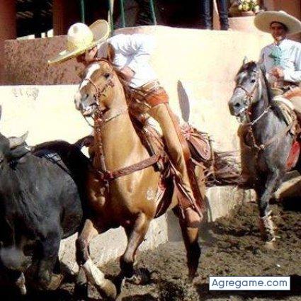 danielelver chico soltero en Mérida Yucatán