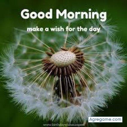 jonathanospinal chico soltero en Austin