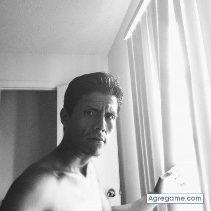 Dogaglezz chico separado en Bradenton