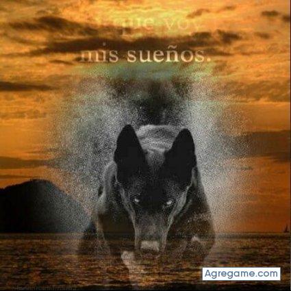 gusgus9788 chico soltero en Morgantown