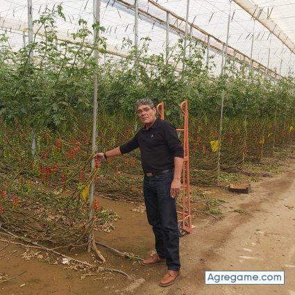 Romarione chico soltero en Balsicas