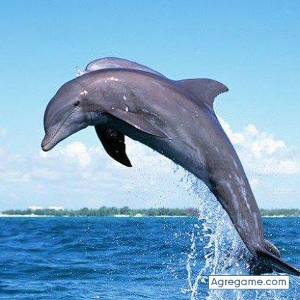 alfonsocastro2938 chico soltero en Sigchos