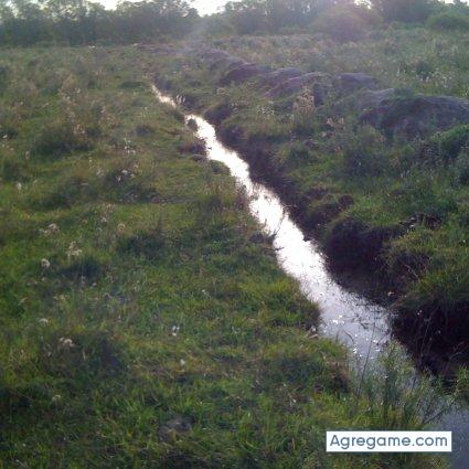 danicam chico soltero en Montevideo