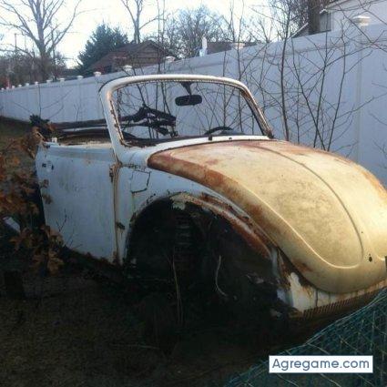 lucilomorales chico soltero en Campbell