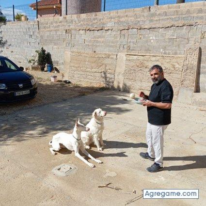 Amosaurelio chico soltero en Valencia