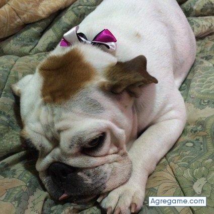 juanbayala chico soltero en Itacurubí Del Rosario