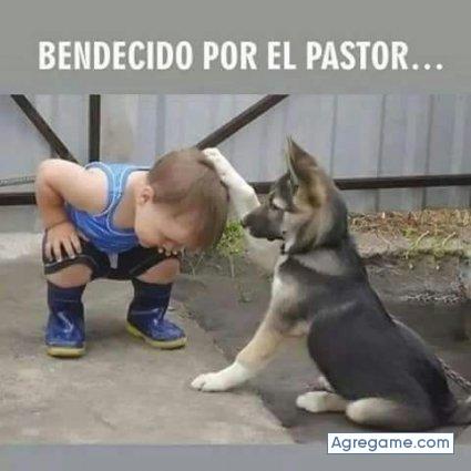 cjfcjf chico soltero en Ojuelos De Jalisco