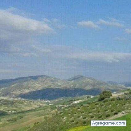 frangarcia3263 chico soltero en Thornton