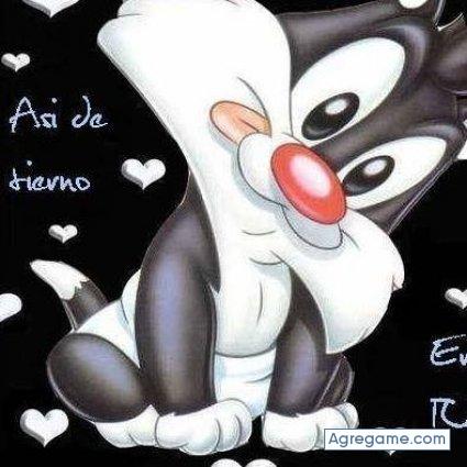 tomasduris chico soltero en Cañada Morelos