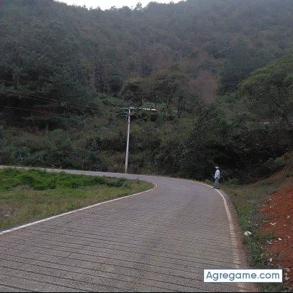 danielbautista1190 chico soltero en Camargo