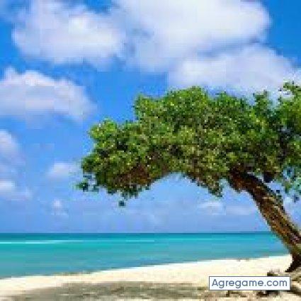 MICHEAL2015 chico soltero en 