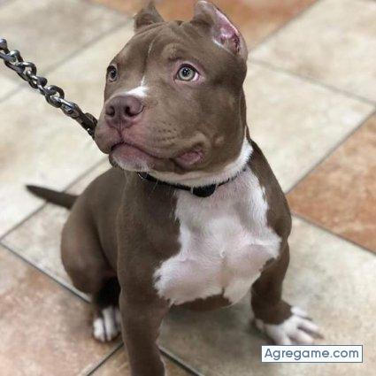 Keilaro chico soltero en Mariano J. Haedo