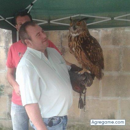 alfredo786 chico soltero en Logroño