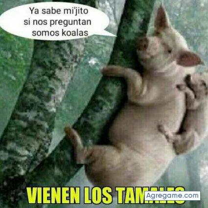 ronacinollitsac7924 chico soltero en Playa Coronado