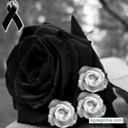 rogerortiz chico soltero en Chapala