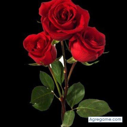 ronyantonio chico soltero en Arequipa